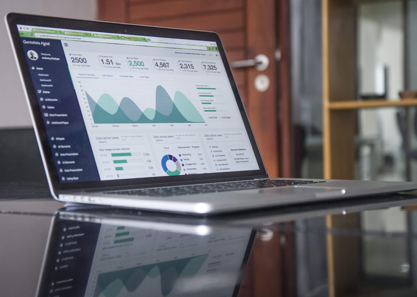 Preview of the Capitaliaspain analytical interface